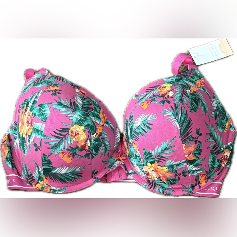 NWT Cacique Cotton Boost Plunge Bra in Lucious Floral Raspberry Rose 42F